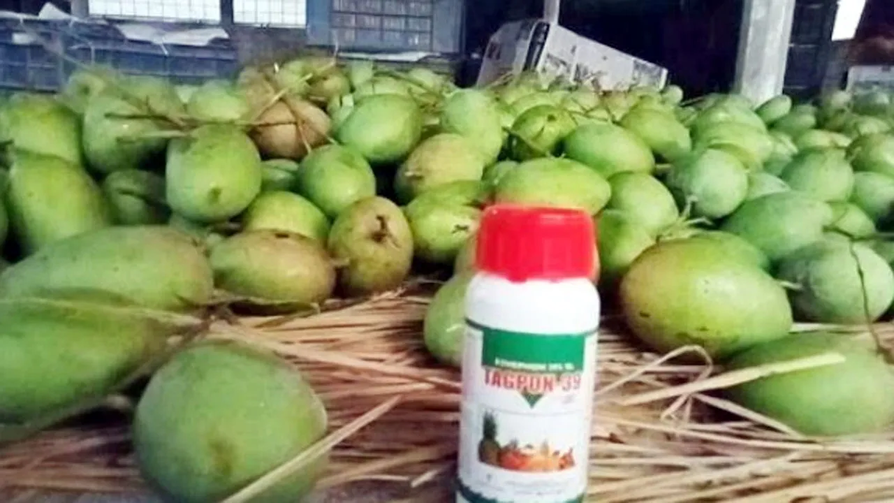 কৃত্রিম উপায়ে পাকানো ফলে ক্রেতা ঠকানোর ফাঁদ