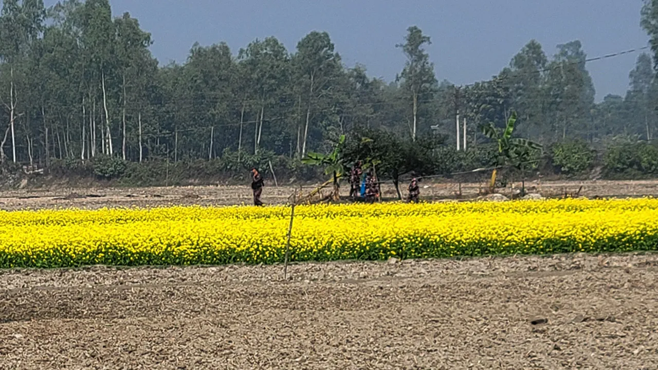 ফুলবাড়ী সীমান্তে বিএসএফের সড়ক নির্মাণে বিজিবির বাধা