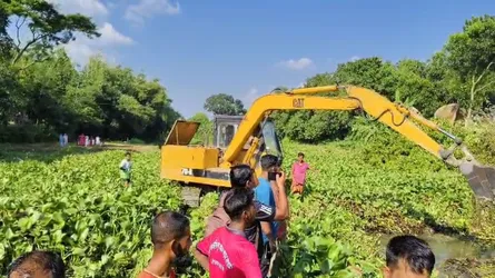 কাপাসিয়ায় নদীর কচুরীপানা পরিষ্কার করতে গিয়ে ২ নারীর মৃত্যু