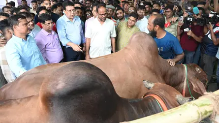 বৈধ ও শরিয়তসম্মত উৎস থেকে কোরবানির পশু কিনুন : প্রাণিসম্পদ প্রতিমন্ত্রী