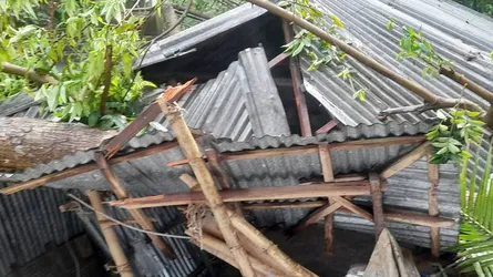 গাবতলীতে কালবৈশাখী ঝড়ে বিধবার মৃত্যু