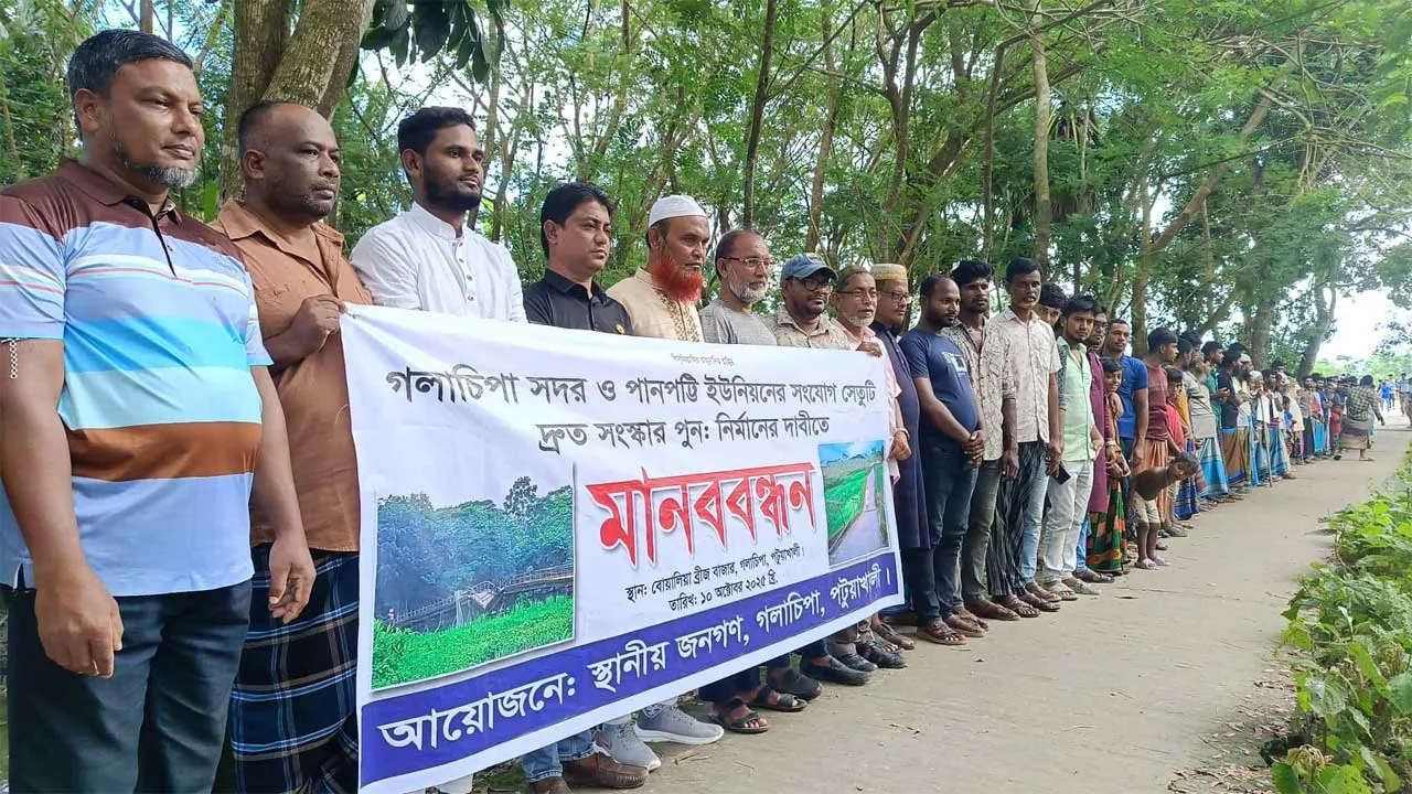 গলাচিপায় সেতু সংস্কার ও পুনর্নির্মাণের দাবিতে মানববন্ধন