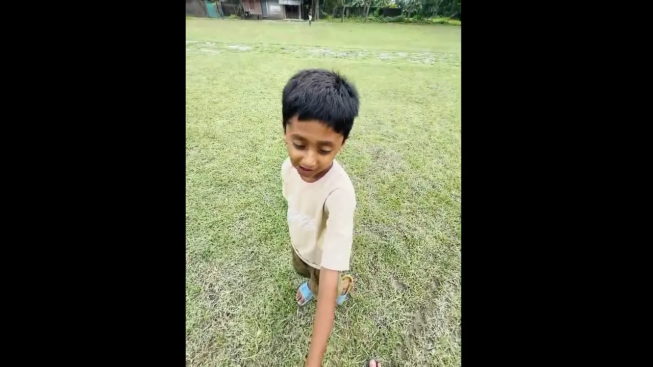 গাংনীতে স্কুল ফিডিংয়ের গাড়ির চাকায় পিষ্ট হয়ে প্রথম শ্রেণির শিক্ষার্থীর মৃত্যু