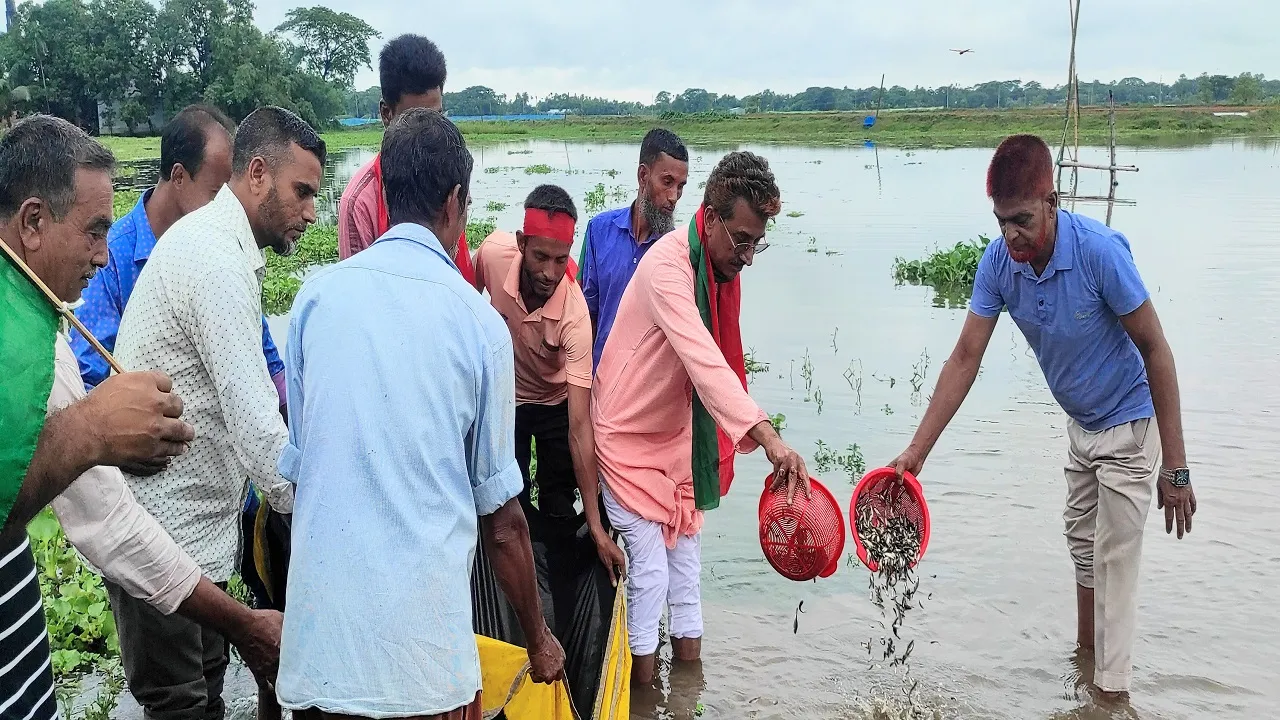 গৌরীপু‌রে বিজয়ের বর্ষপূর্তি‌তে মা‌ছের পোনা অবমুক্ত