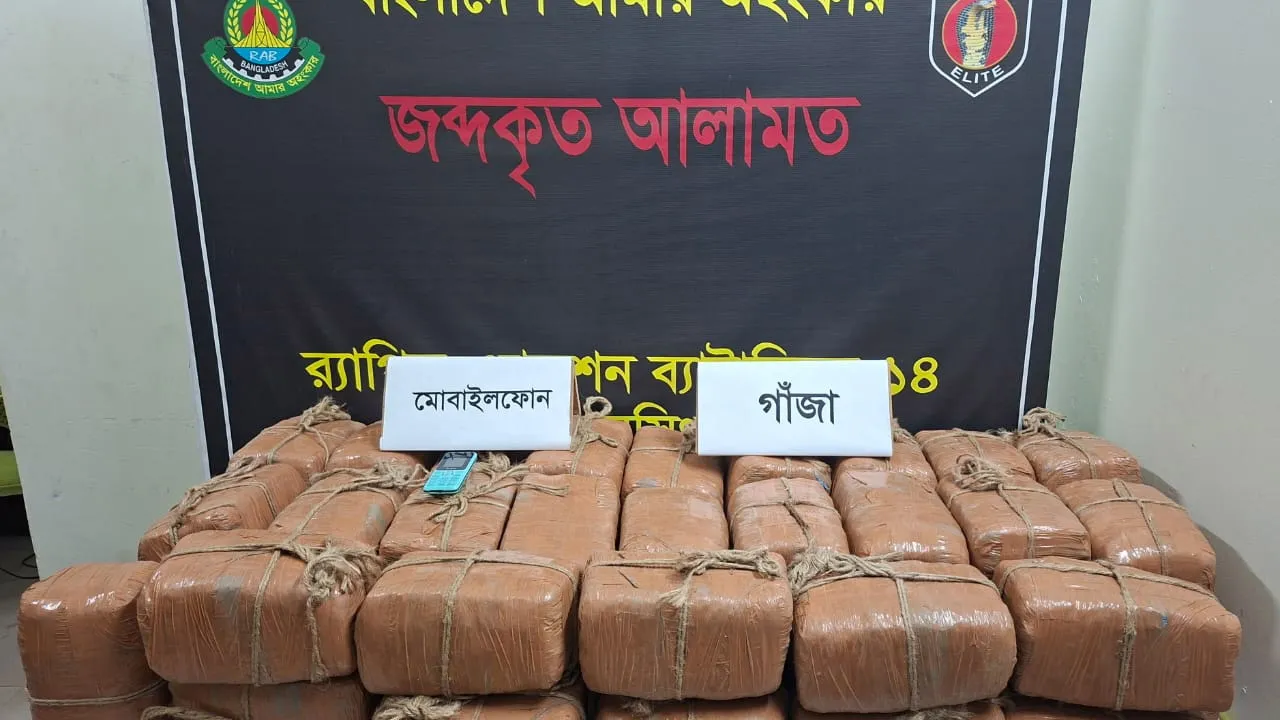ময়মনসিংহে কাভার্ডভ্যান থেকে ৯৬ কেজি গাঁজা উদ্ধার, মাদক কারবারি গ্রেফতার