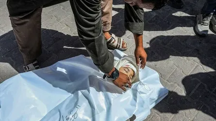 গাজায় ইসরাইলি হামলায় ৭ ফিলিস্তিনি নিহত