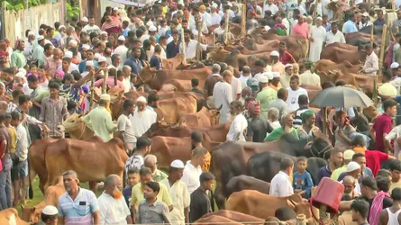 ভোলার গজারিয়া পশুর হাট, আড়াইশ বছর খাজনামুক্ত বেচাকেনা