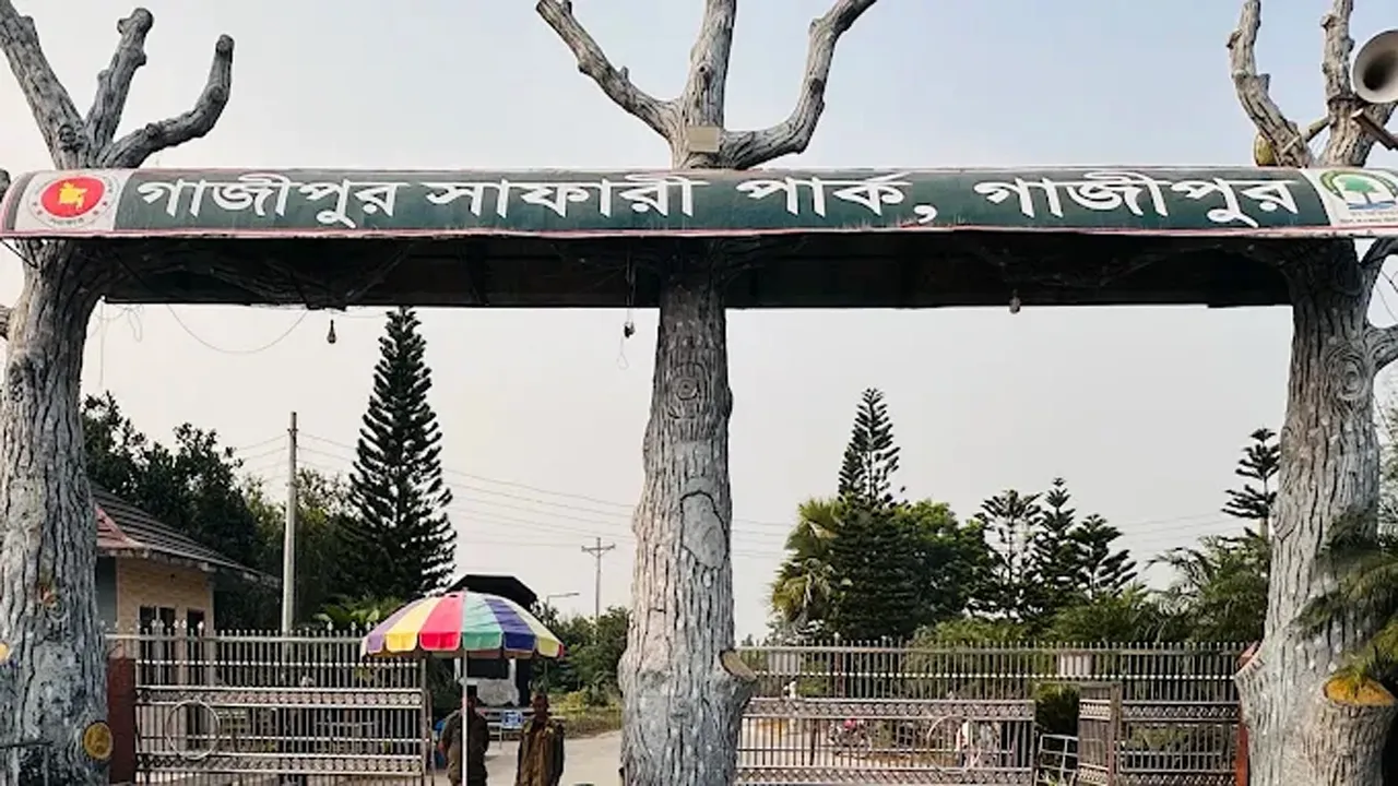 গাজীপুর সাফারি পার্কে ২ হাতির মৃত্যু