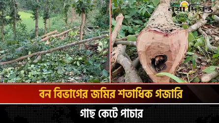 গাজীপুরে বনখেকোদের হামলায় তিন সাংবাদিক আহত