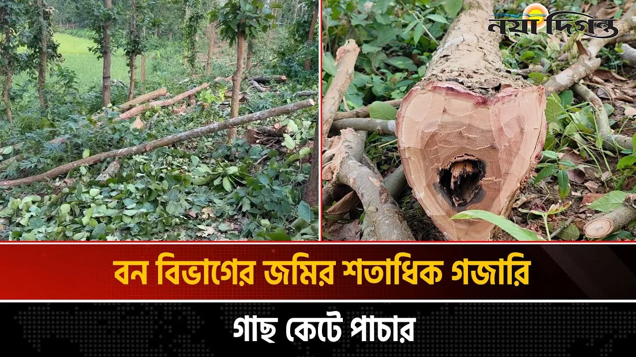 গাজীপুরে বনখেকোদের হামলায় তিন সাংবাদিক আহত