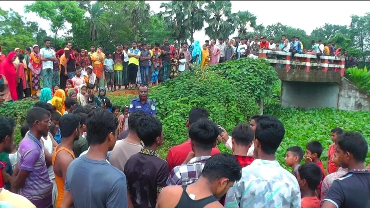 গাজীপুরে পরিত্যক্ত কার্টন থেকে নবজাতকের লাশ উদ্ধার