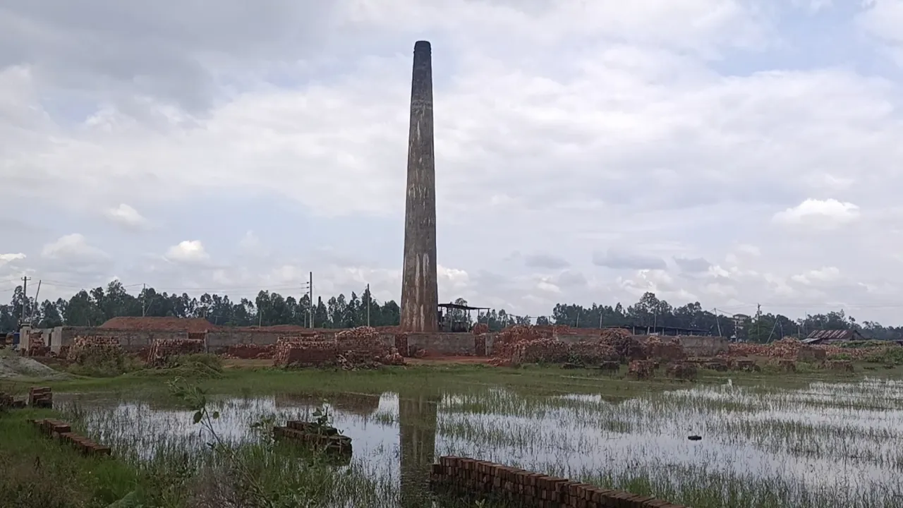 ঘাটাইলে অস্ত্র ঠেকিয়ে ইটভাটায় ডাকাতি
