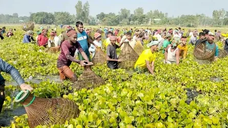 ঘিওরে পলো বাইচে গ্রামীণ মিলনমেলা