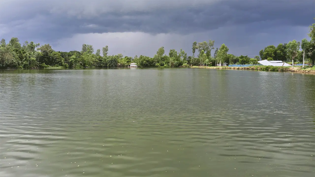 ঘোড়াঘাটে শর্ত ভেঙে আশ্রয়ণের বিল ‘লিজ’ বাণিজ্যে বিপাকে ৫৩ পরিবার