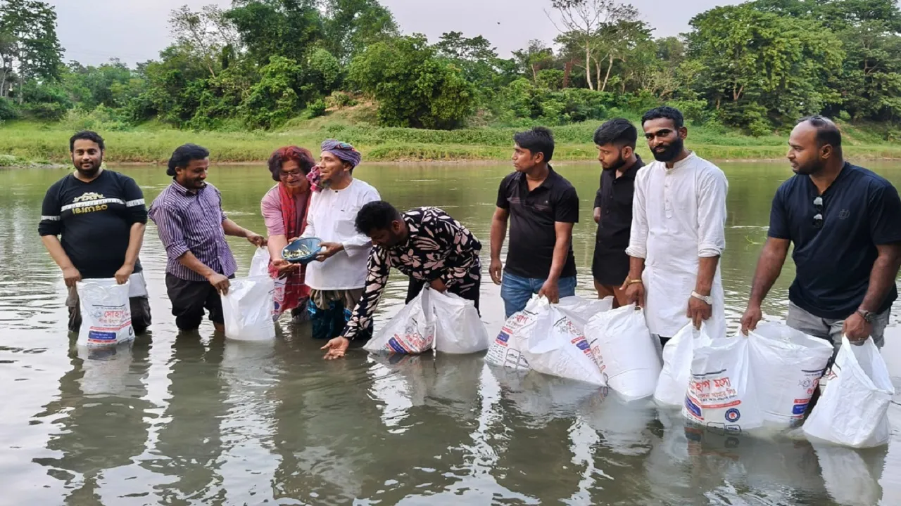 কুমিল্লা গোমতী নদীতে ২০ হাজার মাছের পোনা অবমুক্ত