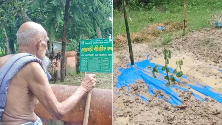 রামিসার কবরের পাশে দাদার অপলক অপেক্ষা
