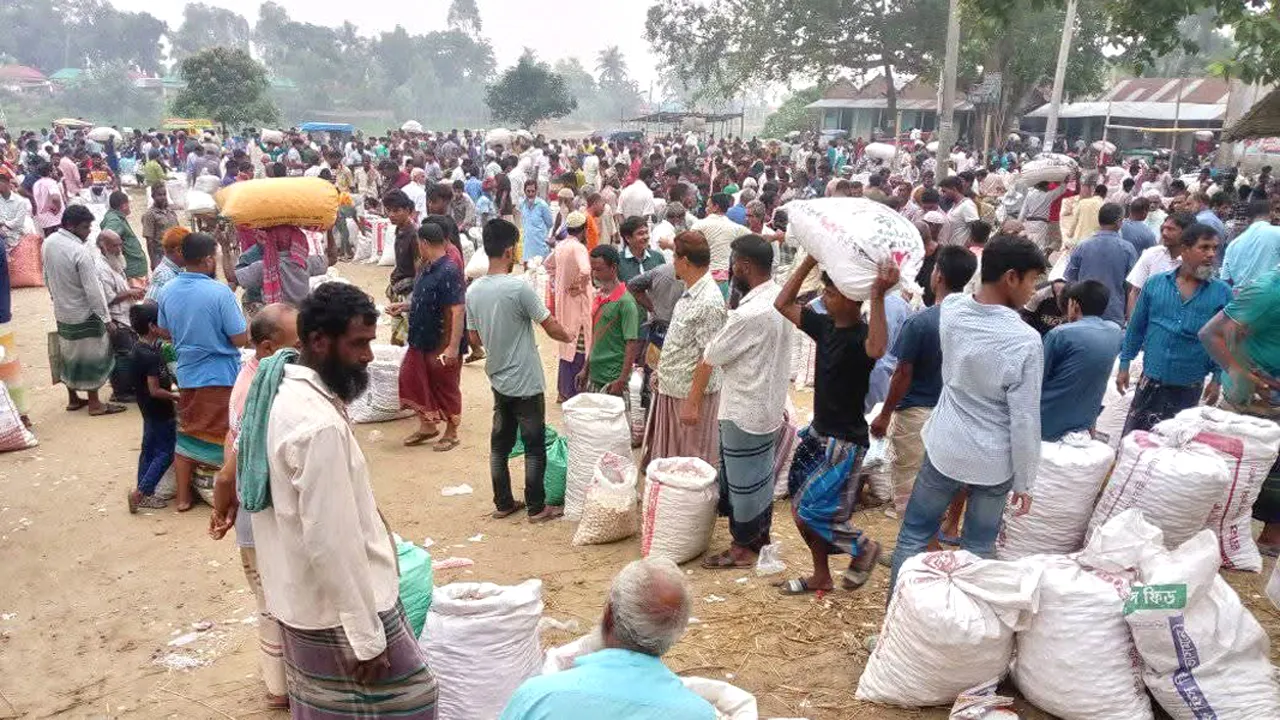 চলনবিলে সাদাসোনা রসুন আয়ের প্রধান উৎস