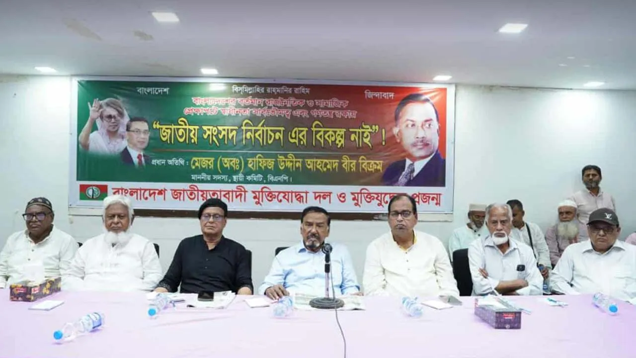 বিএনপি দুর্বল দল নয়, কারা নির্বাচন হতে দেবে না রাজপথে দেখতে চাই : হাফিজ