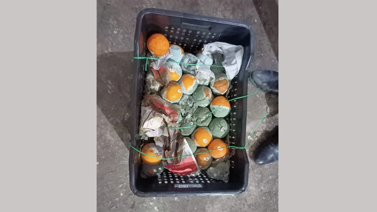 হাজী সেলিমের মদিনা হিমাগারে রাখা ১৯ হাজার কেজি মাল্টা আত্মসাতের অভিযোগ