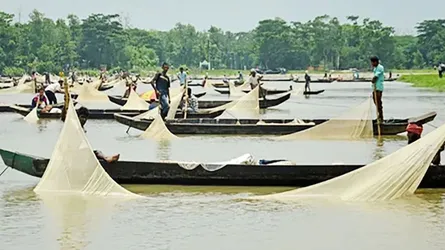 হালদা শুধু একটি নদীর নাম নয়, বরং একটি অর্থনীতির স্পন্দন