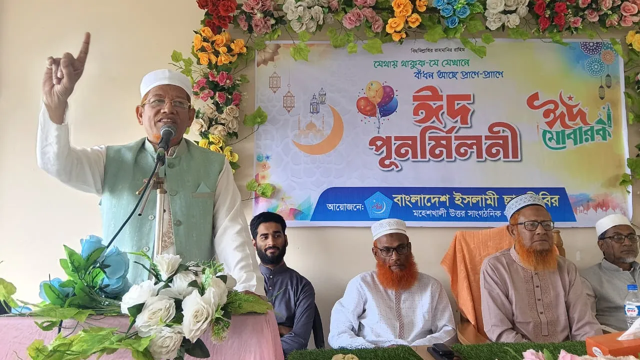 গণভোট বাস্তবায়নে বিলম্ব করা জনগণকে অপমান করার শামিল : হামিদুর রহমান আযাদ