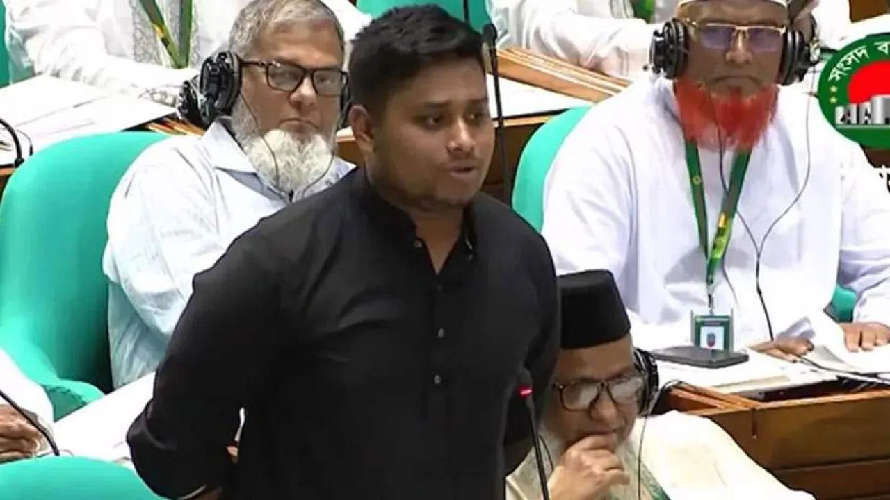 সংসদে বিসিবিকে ‘বাপের দোয়া ক্রিকেট বোর্ড’ বললেন হাসনাত আবদুল্লাহ