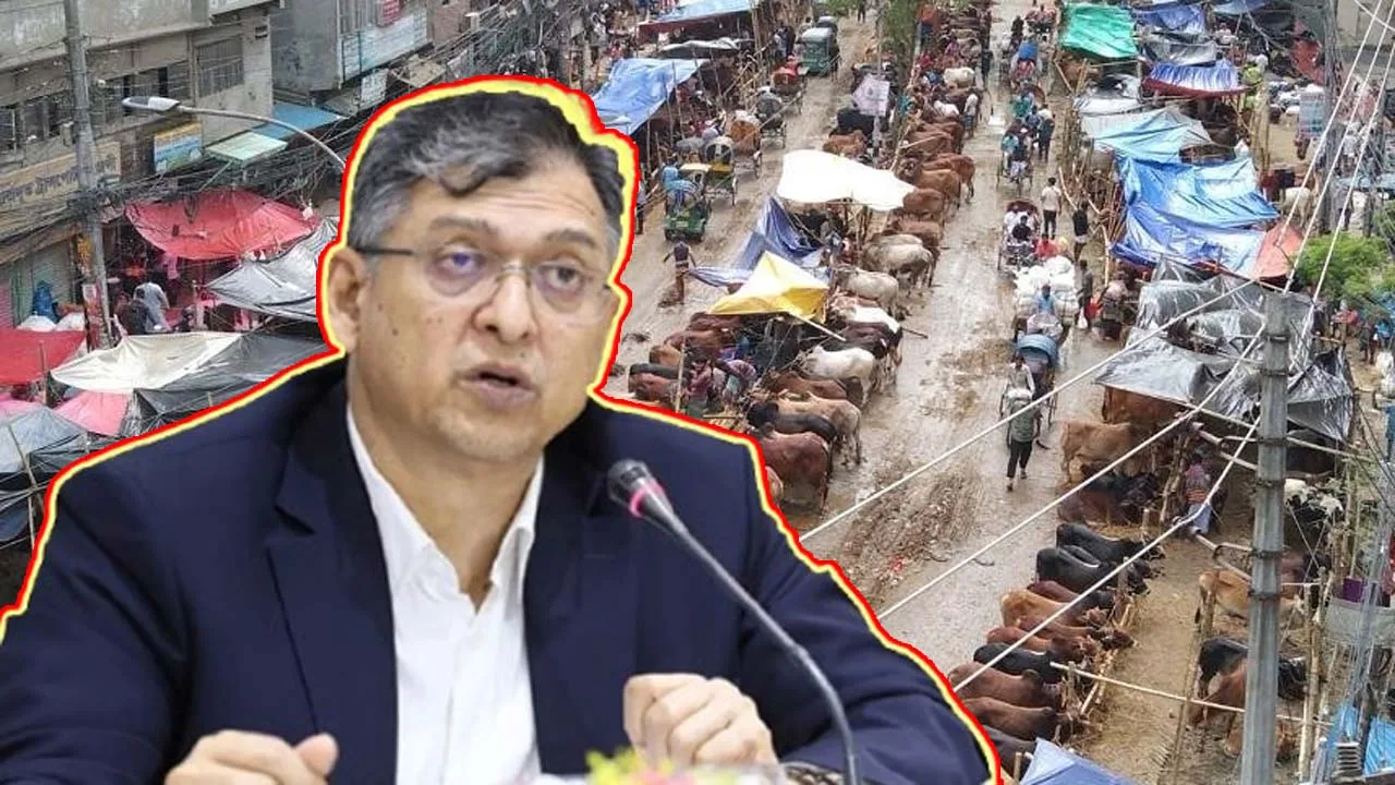 সড়ক-মহাসড়কে পশুর হাট বসানো যাবে না : স্বরাষ্ট্রমন্ত্রী