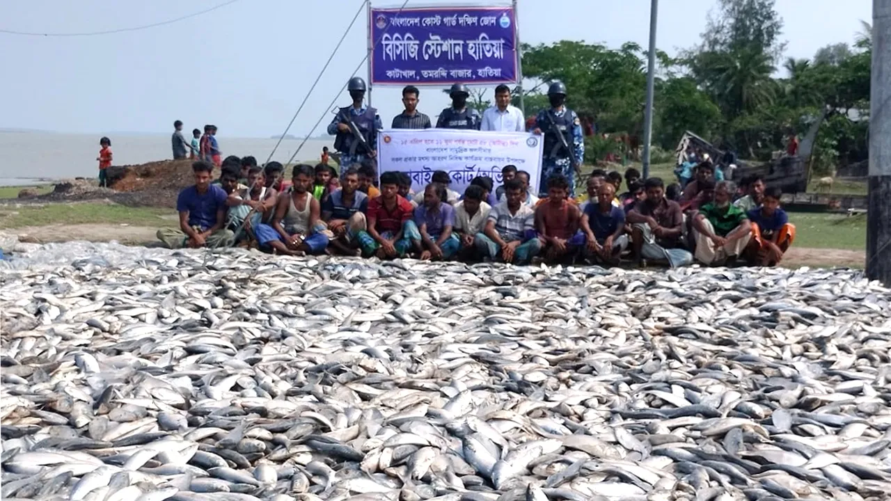 হাতিয়ায় ১৫০ মণ ইলিশসহ ৫৬ জেলে আটক