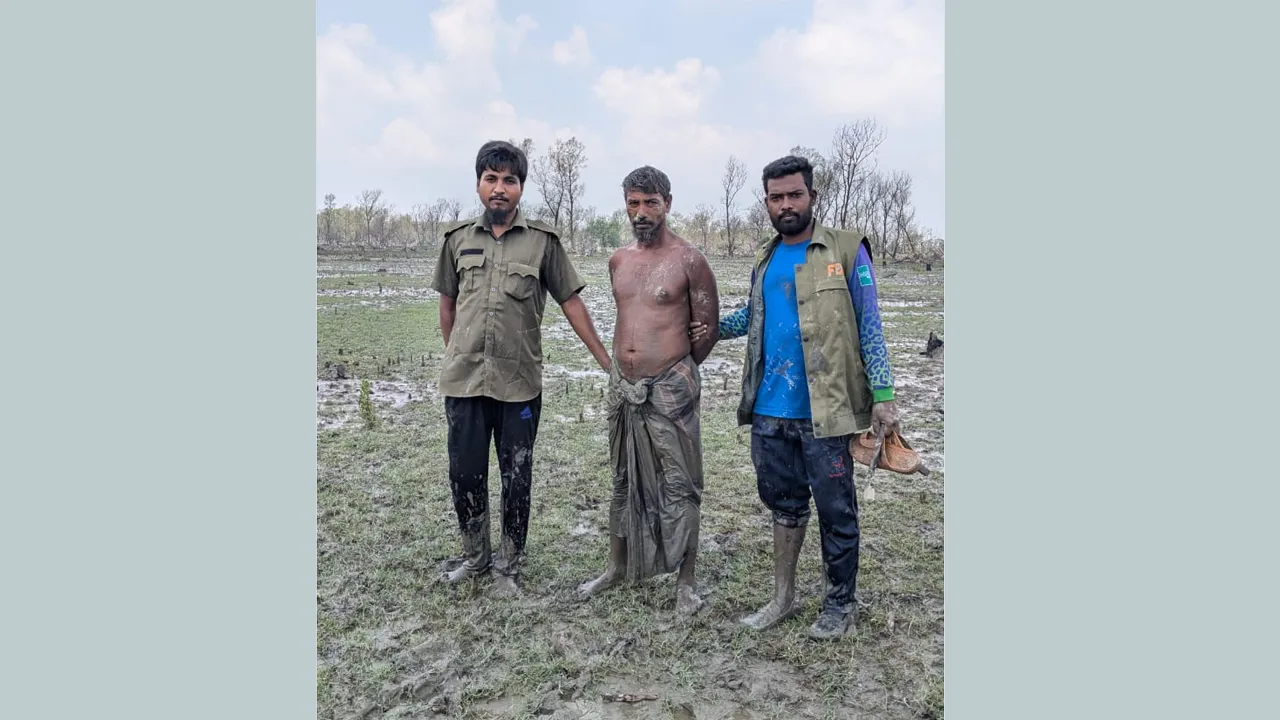 হাতিয়া দ্বীপে সংরক্ষিত বনাঞ্চলের গাছ কাটায় আটক ১