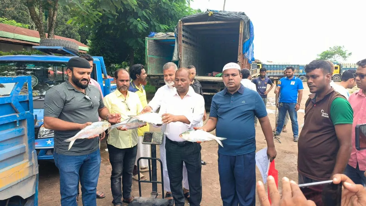 আখাউড়া স্থলবন্দর দিয়ে ইলিশ মাছের প্রথম চালান গেল ভারতের ত্রিপুরায়