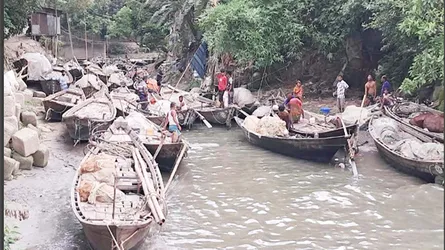 মধ্যরাত থেকে পদ্মা-মেঘনায় পুনরায় ইলিশ ধরা শুরু