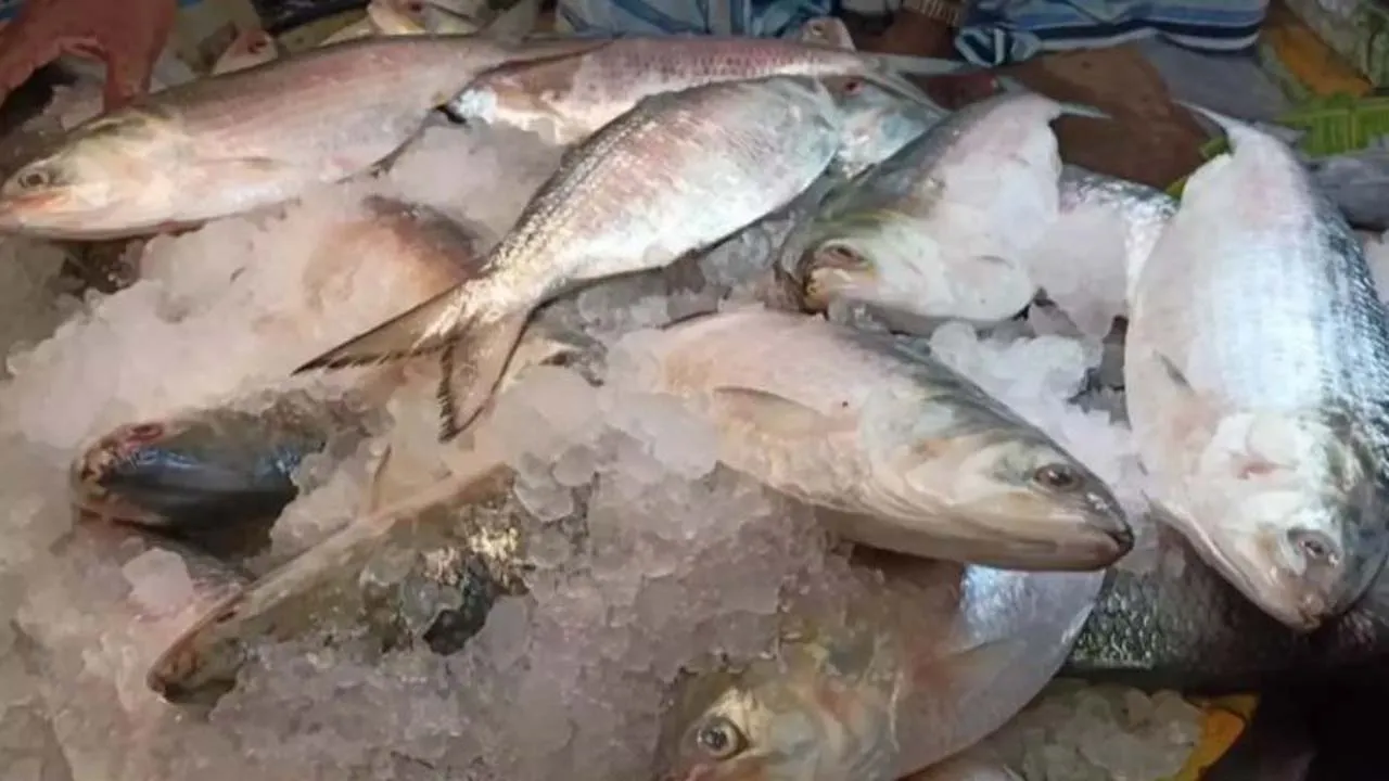 দাম কমেছে ইলিশের, উর্ধ্বমুখী সবজির বাজার