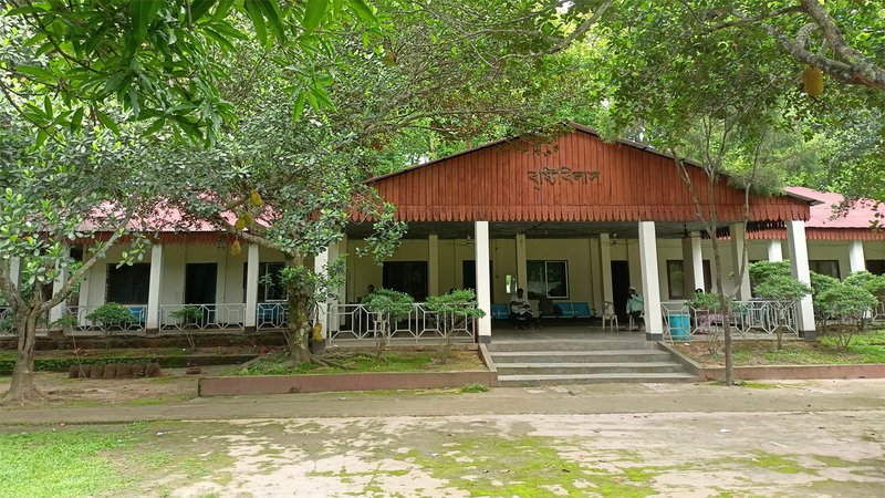 নুহাশ পল্লীতে বৃষ্টি বিলাস