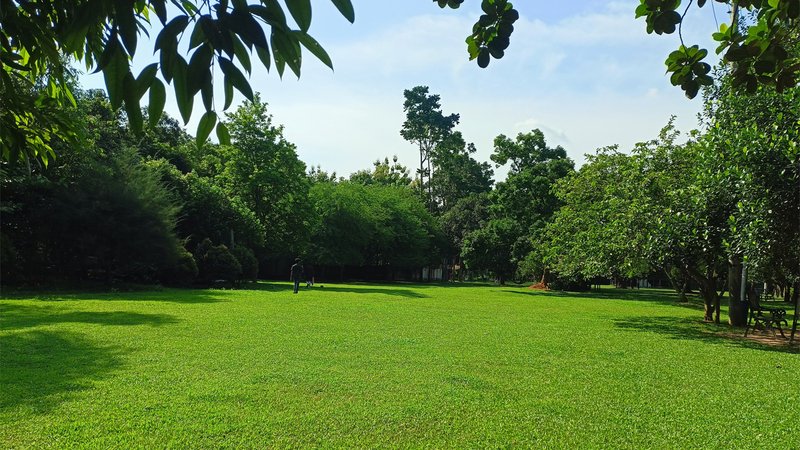 নুহাশ পল্লীর নয়ানাভিরাম দৃশ্য