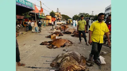 ‘এবার কেউ চামড়া কিনতেই এলো না’