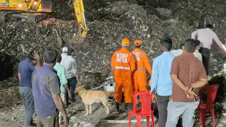 ভারতে বিদ্যুৎ উৎপাদন কেন্দ্রে বর্জ্যের স্তূপ ধস, ৯ শ্রমিক নিহত