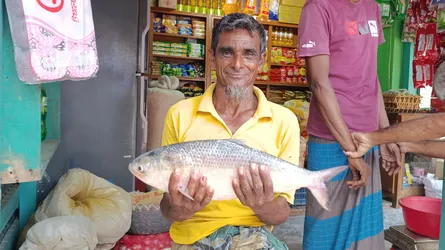 পায়রা নদীতে জালে উঠল ২ কেজি ওজনের ইলিশ