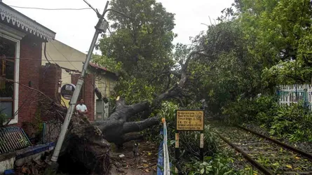 পশ্চিমবঙ্গে কালবৈশাখী ঝড়ে বজ্রপাত-গাছচাপায় ৮ জনের মৃত্যু