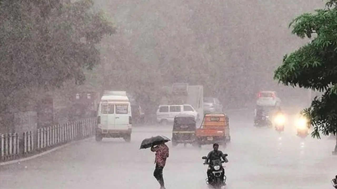 ভারতের গুজরাটে বৃষ্টিপাতে ১৮ জনের প্রাণহানি