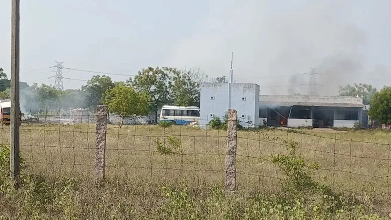 ভারতে বাজি তৈরির কারখানায় বিস্ফোরণে নিহত ২০