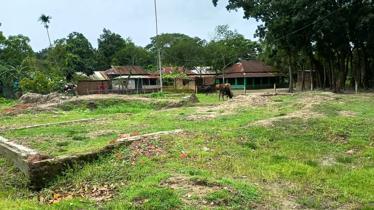 জমি সংক্রান্ত বিরোধে সহিংসতা, বাড়ি ছাড়া ২৮ সদস্যের পরিবার