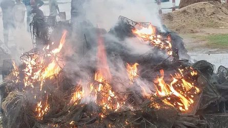 ইটনায় ৬০টি চায়না দুয়ারী জাল জব্দ, জনসম্মুখে পুড়িয়ে বিনষ্ট