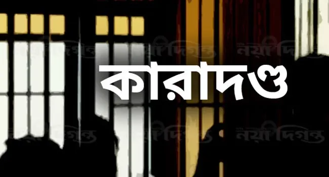মুন্সিগঞ্জে জাল দলিলের মামলায় দুই আসামির ১২ বছরের কারাদণ্ড