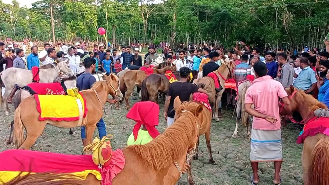 ঝালকাঠিতে লোকজ ঐতিহ্য ঘোড় দৌড়