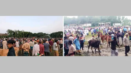 মেলান্দহে শেষ মুহূর্তের বেচা-কেনায় জমজমাট কোরবানি পশুর হাট