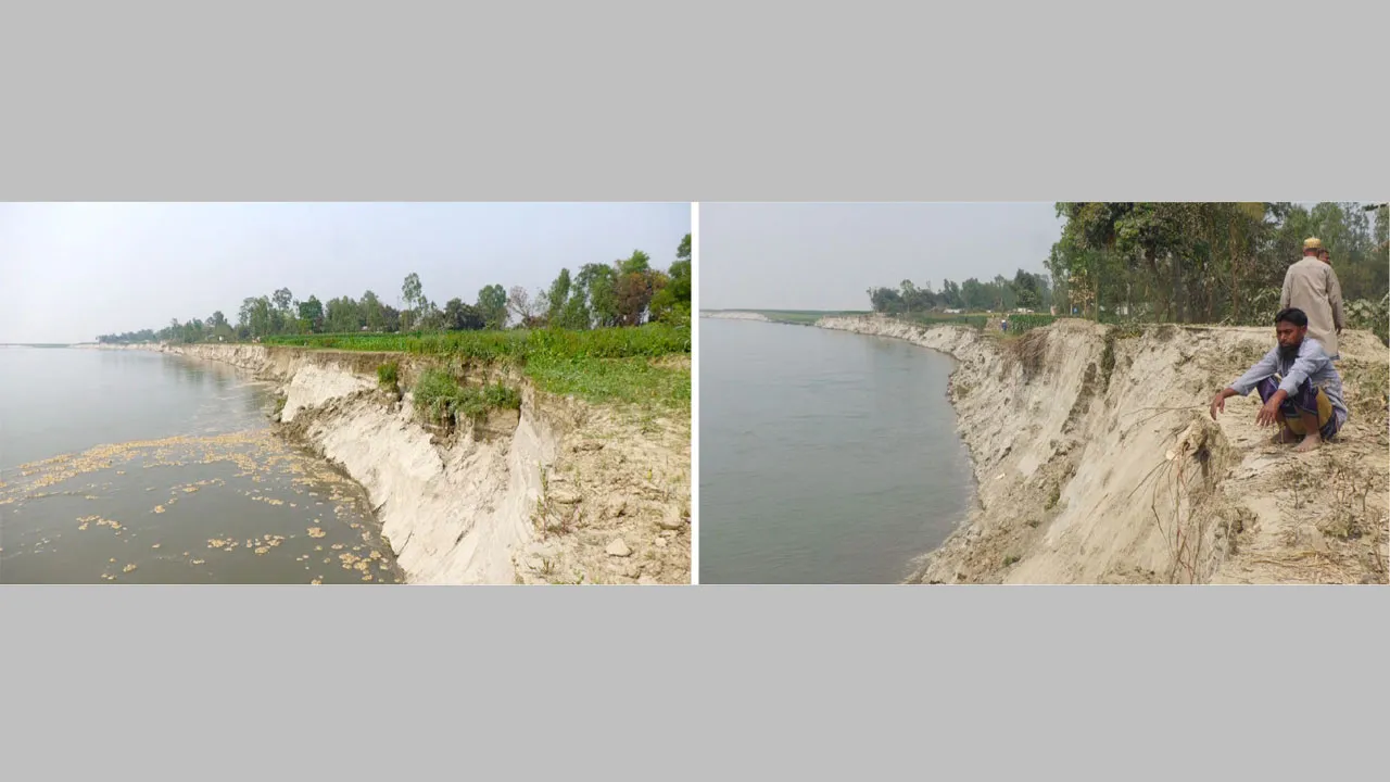 অসময়ে যমুনা নদীর ভাঙনে দিশেহারা নদীপাড়ের মানুষ