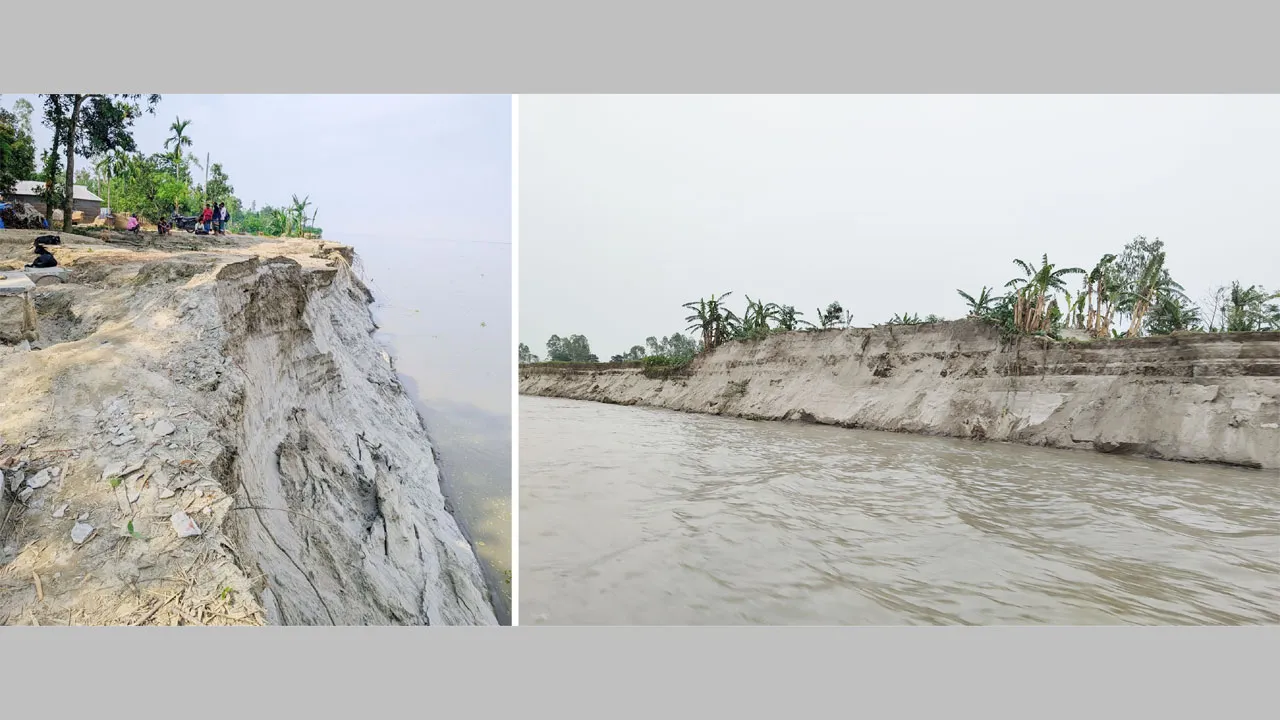 যমুনার শাখা নদীগুলোতে ভাঙন, বিলীন হচ্ছে ইসলামপুরের মুন্নিয়া গ্রাম