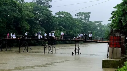 কাঁঠালিয়ায় জামায়াত নেতাকর্মীদের স্বেচ্ছাশ্রমে কাঠের ব্রিজ মেরামত