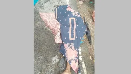 চৌগাছায় গরুবোঝাই আলমসাধু উল্টে চালক নিহত