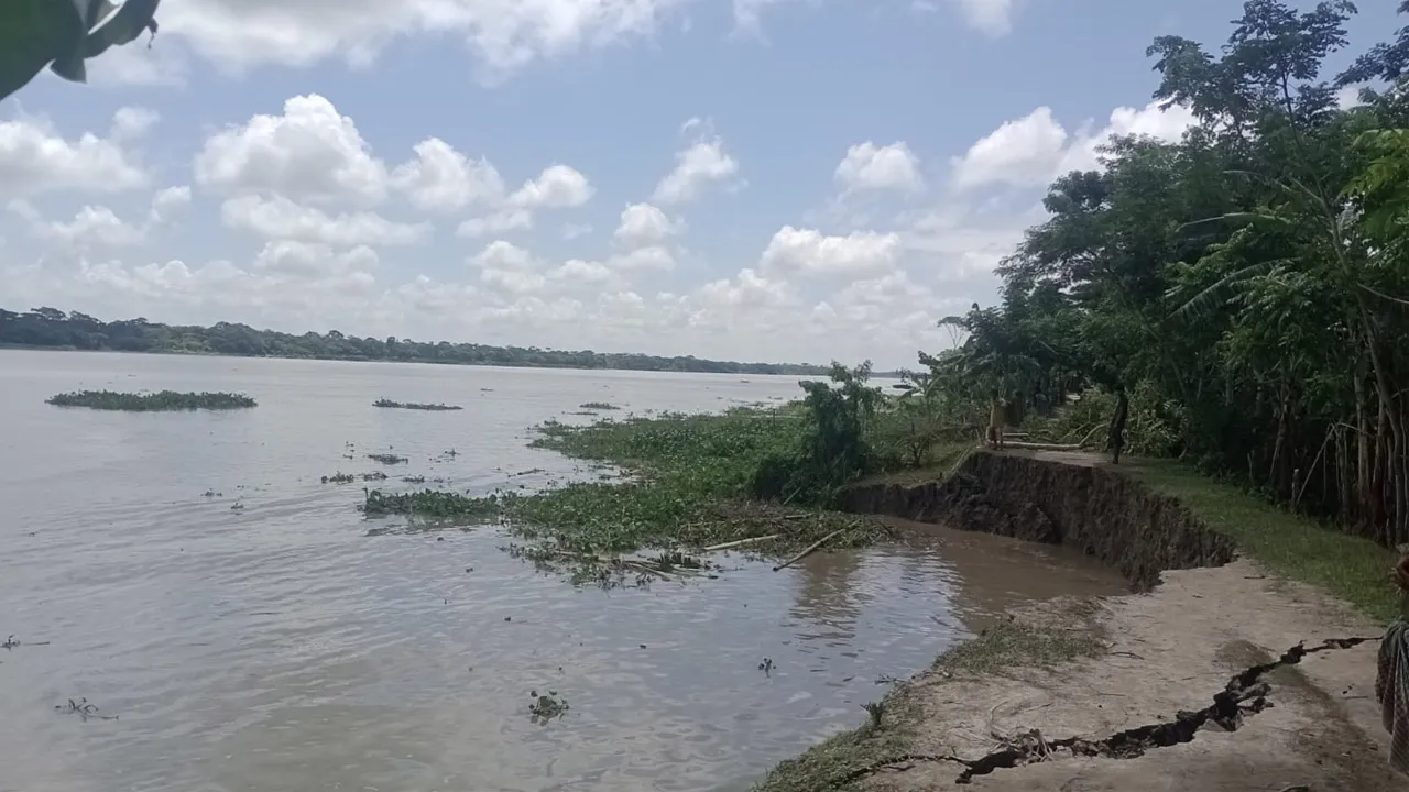 বিশখালীর ভাঙন : ঝুঁকিতে বাদুরতলা স্কুল এবং ক্ষতির শঙ্কায় দেড়শ একর জমির আমন ধান